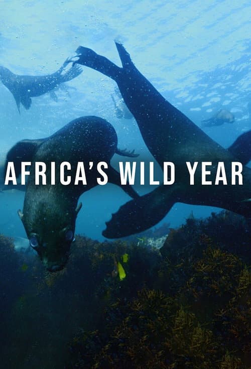 Africa's Wild Year